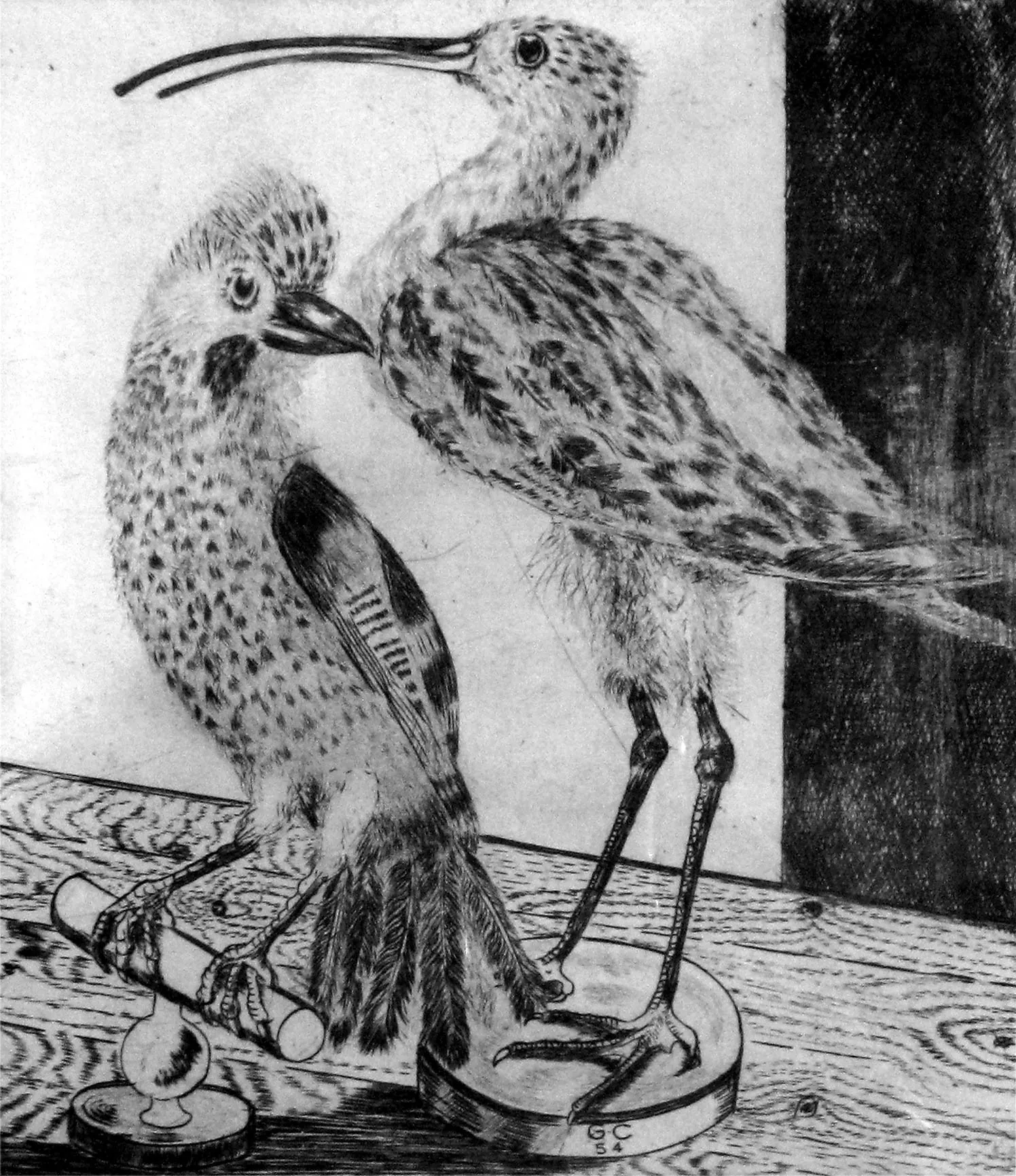 dessin de deux oiseaux