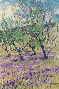 peinture : Les oliviers