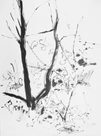 peinture : Oenothères II