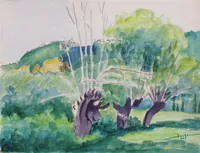 peinture : Les vieux saules II