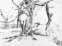 peinture : L'arbre penché