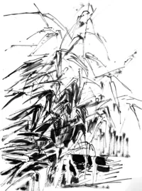 peinture : Sassa Japonica II