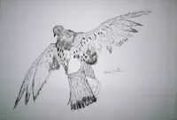 peinture : L'oiseau n°03