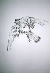 peinture : L'oiseau n°05