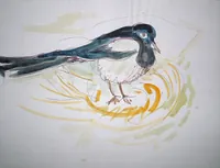 peinture : La pie n°3