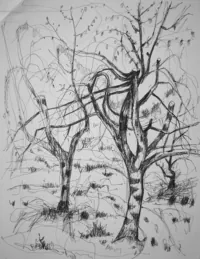 peinture : Les arbres n°40