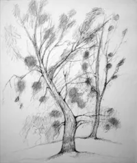peinture : Les arbres n°59