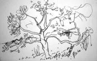 peinture : Les arbres n°159
