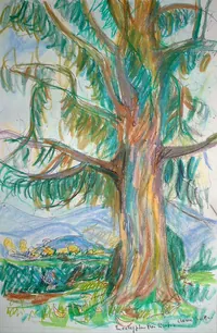 peinture : Eucalyptus près Bastia