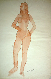 pas d'image