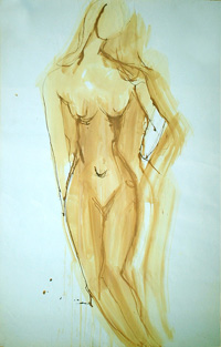 pas d'image
